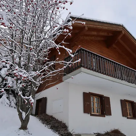 Ushuaia By Interhome Nendaz